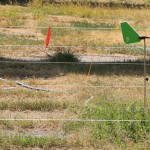 اولین مسابقه رسمی بنچ رست زیر نظر فدراسیون تیراندازی