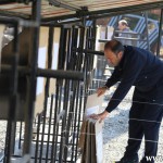 مسابقه بنچ رست ۲۵ متر لایت ورمینت و هوی ورمینت و آزاد