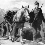 تفنگ برنو Brno VZ.24